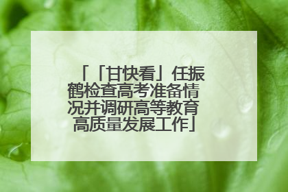 「甘快看」任振鹤检查高考准备情况并调研高等教育高质量发展工作