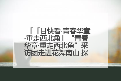 「甘快看·青春华章·重走西北角」“青春华章·重走西北角”采访团走进花舞南山 探寻天水乡村振兴之路