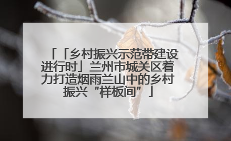 「乡村振兴示范带建设进行时」兰州市城关区着力打造烟雨兰山中的乡村振兴“样板间”
