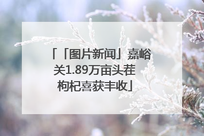 「图片新闻」嘉峪关1.89万亩头茬枸杞喜获丰收