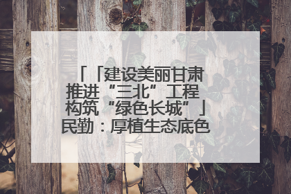 「建设美丽甘肃 推进“三北”工程 构筑“绿色长城”」民勤：厚植生态底色 筑牢绿色屏障