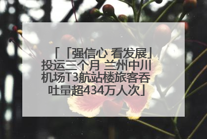 「强信心 看发展」投运三个月 兰州中川机场T3航站楼旅客吞吐量超434万人次