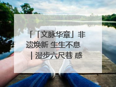 「文脉华章」非遗焕新 生生不息｜漫步六尺巷 感受礼让文化浸润的“巷”往生活