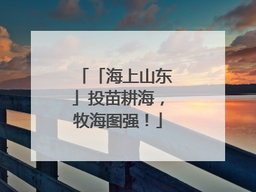 「海上山东」投苗耕海，牧海图强！