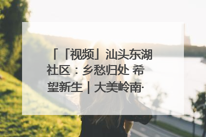 「视频」汕头东湖社区：乡愁归处 希望新生｜大美岭南·百村焕新记