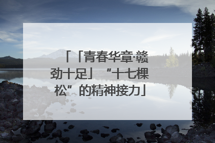 「青春华章·赣劲十足」“十七棵松”的精神接力