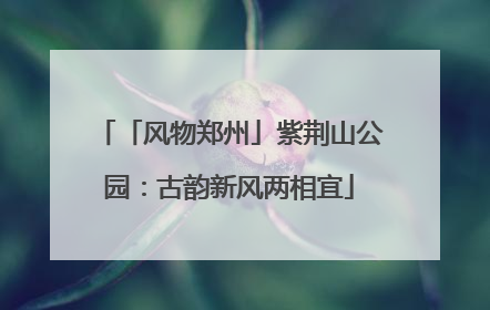 「风物郑州」紫荆山公园：古韵新风两相宜