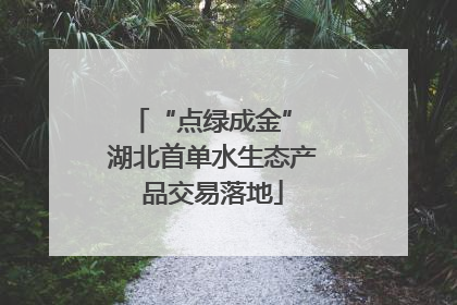 “点绿成金” 湖北首单水生态产品交易落地