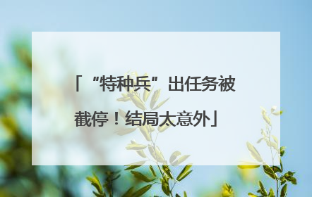 “特种兵”出任务被截停！结局太意外