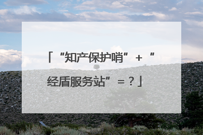 “知产保护哨”+“经盾服务站”=？