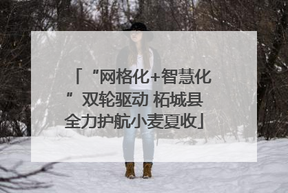 “网格化+智慧化”双轮驱动 柘城县全力护航小麦夏收