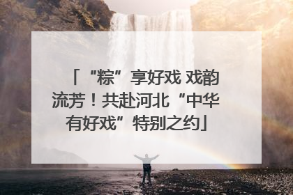 “粽”享好戏 戏韵流芳！共赴河北“中华有好戏”特别之约