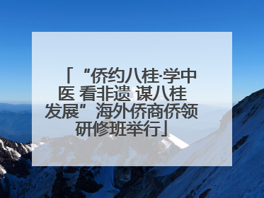 “侨约八桂·学中医 看非遗 谋八桂发展”海外侨商侨领研修班举行