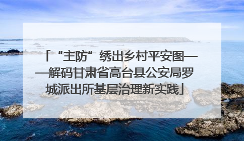 “主防”绣出乡村平安图——解码甘肃省高台县公安局罗城派出所基层治理新实践