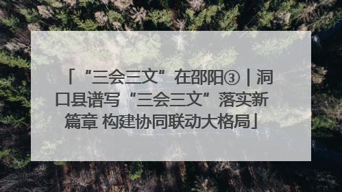 “三会三文”在邵阳③｜洞口县谱写“三会三文”落实新篇章 构建协同联动大格局