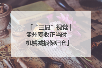“三夏”视觉｜孟州麦收正当时 机械减损保归仓