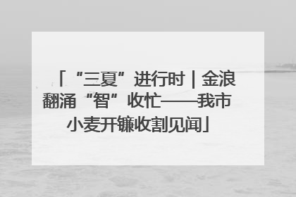 “三夏”进行时｜金浪翻涌“智”收忙——我市小麦开镰收割见闻