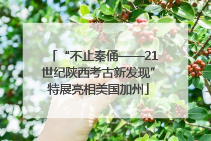 “不止秦俑——21世纪陕西考古新发现”特展亮相美国加州