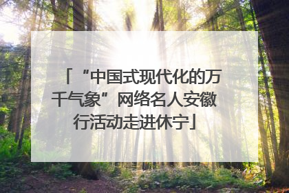 “中国式现代化的万千气象”网络名人安徽行活动走进休宁