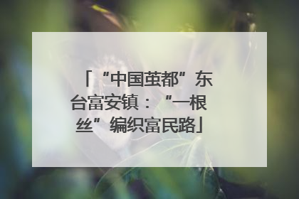 “中国茧都”东台富安镇：“一根丝”编织富民路