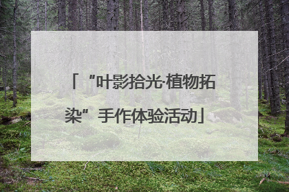 “叶影拾光·植物拓染”手作体验活动