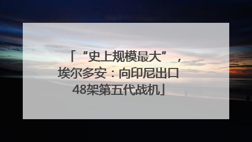 “史上规模最大”，埃尔多安：向印尼出口48架第五代战机