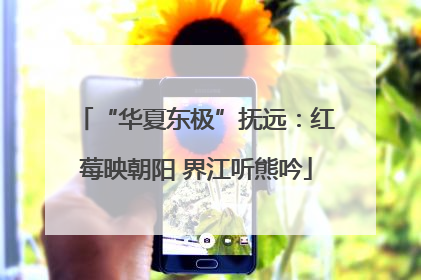 “华夏东极”抚远：红莓映朝阳 界江听熊吟