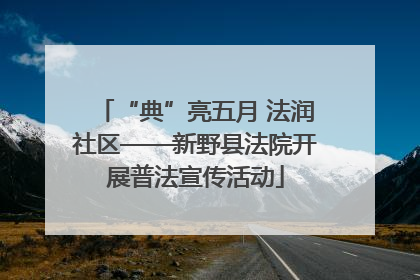 “典”亮五月 法润社区——新野县法院开展普法宣传活动