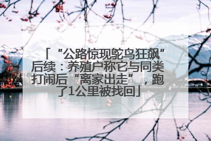 “公路惊现鸵鸟狂飙”后续：养殖户称它与同类打闹后“离家出走”，跑了1公里被找回