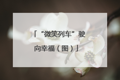 “微笑列车”驶向幸福（图）