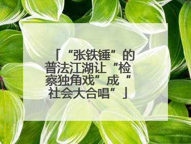 “张铁锤”的普法江湖让“检察独角戏”成“社会大合唱”