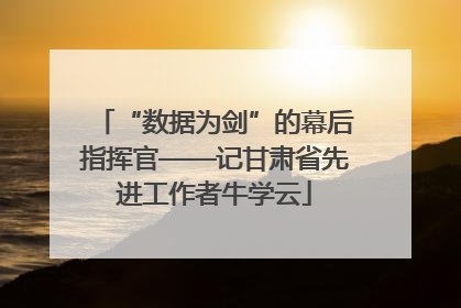 “数据为剑”的幕后指挥官——记甘肃省先进工作者牛学云