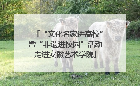 “文化名家进高校”暨“非遗进校园”活动走进安徽艺术学院