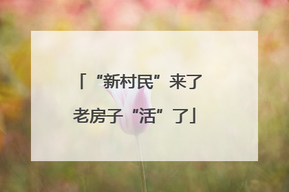 “新村民”来了 老房子“活”了