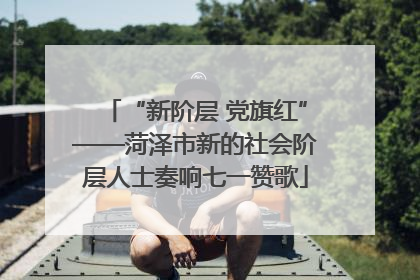 “新阶层 党旗红”——菏泽市新的社会阶层人士奏响七一赞歌