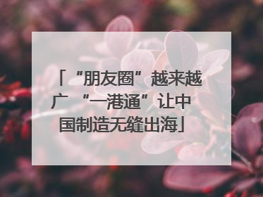 “朋友圈”越来越广 “一港通”让中国制造无缝出海