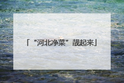 “河北净菜”靓起来