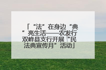 “法”在身边“典”亮生活——农发行双峰县支行开展“民法典宣传月”活动