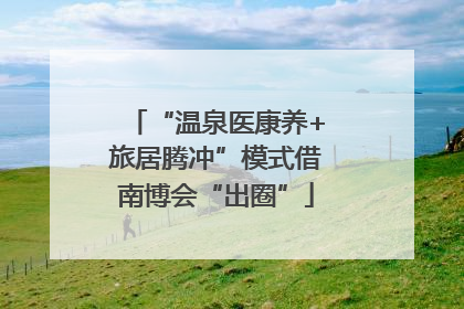“温泉医康养+旅居腾冲”模式借南博会“出圈”