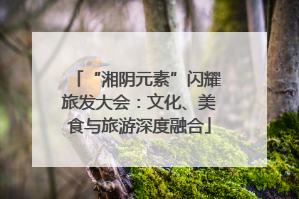 “湘阴元素”闪耀旅发大会：文化、美食与旅游深度融合