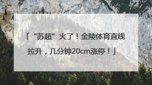 “苏超”火了！金陵体育直线拉升，几分钟20cm涨停！