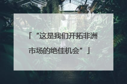 “这是我们开拓非洲市场的绝佳机会”