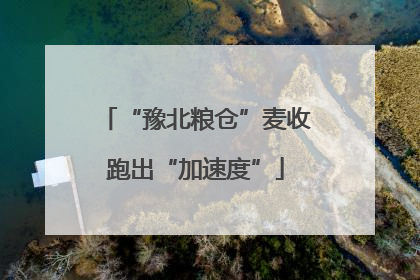 “豫北粮仓”麦收跑出“加速度”