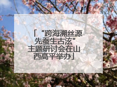 “跨海溯丝源 先蚕生古泫”主题研讨会在山西高平举办
