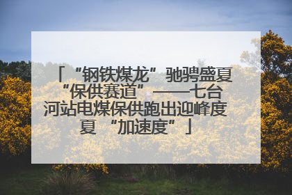 “钢铁煤龙”驰骋盛夏 “保供赛道”——七台河站电煤保供跑出迎峰度夏 “加速度”