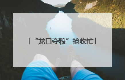 “龙口夺粮”抢收忙