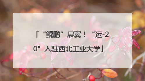 “鲲鹏”展翼！“运-20”入驻西北工业大学