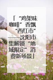 “鸡架味咖啡”香飘“西红市”——沈阳市集解锁“地域限定”消费新场景