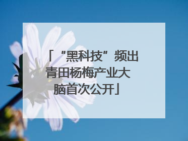 “黑科技”频出 青田杨梅产业大脑首次公开