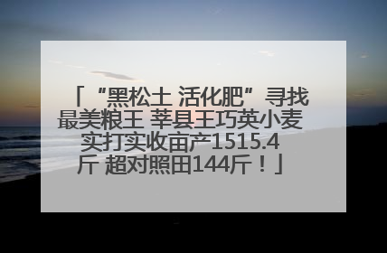 “黑松土 活化肥”寻找最美粮王 莘县王巧英小麦实打实收亩产1515.4斤 超对照田144斤！